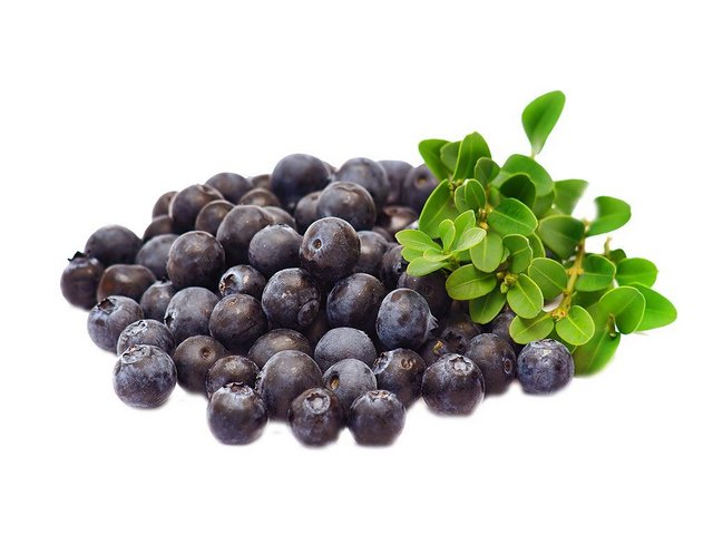 Чорниці свіжі, сорт перший, 1 кг